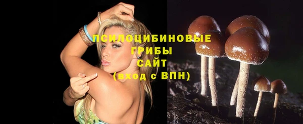 a pvp Армянск