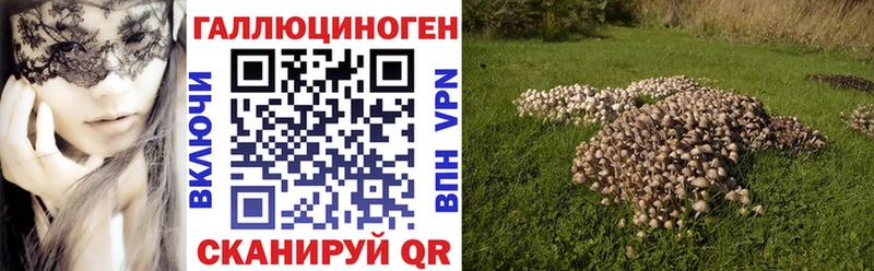 Галлюциногенные грибы MAGIC MUSHROOMS  Нефтегорск 