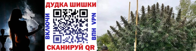 Шишки марихуана план  Нефтегорск 